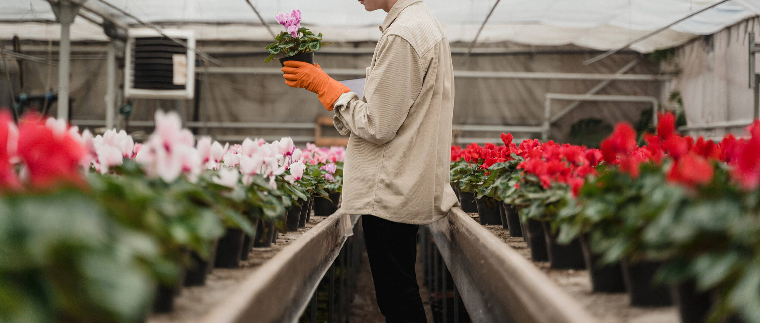 L'horticulteur, un professionnel qui aime travailler dans la nature et être au contact des plantes